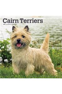 Cairn Terriers 2021 Square