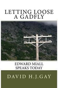 Letting Loose a Gadfly