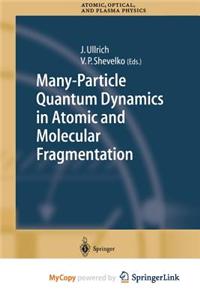 Many-Particle Quantum Dynamics in Atomic and Molecular Fragmentation