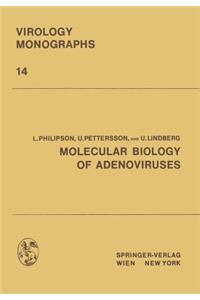 Molecular Biology of Adenoviruses