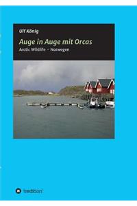 Auge in Auge mit Orcas