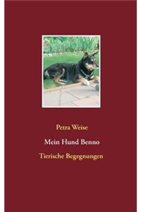 Mein Hund Benno