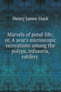 Marvels of pond-life