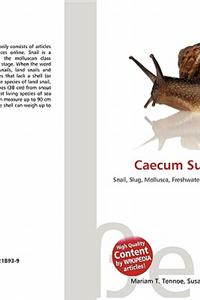 Caecum Subvolutum