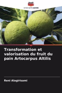 Transformation et valorisation du fruit du pain Artocarpus Altilis