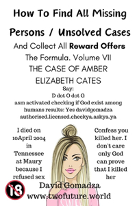 How To Find All Missing Persons / Unsolved Cases. And Collect All Reward Offers. Volume VII.