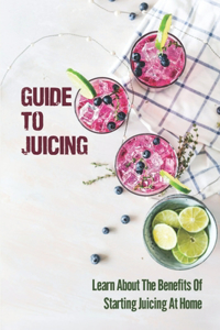 Guide To Juicing