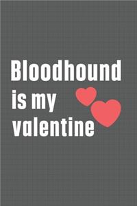 Bloodhound is my valentine