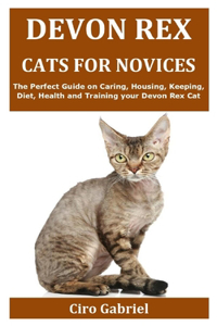Devon Rex Cats for Novices