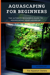 Aquascaping For Beginners