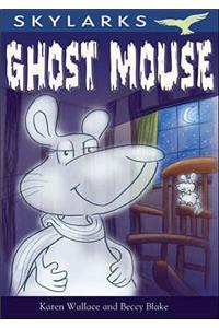 Ghost Mouse