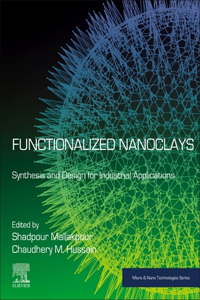 Functionalized Nanoclays