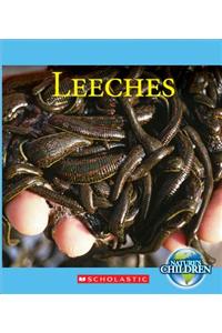 Leeches (Nature's Children)