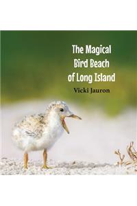 Magical Bird Beach of Long Island