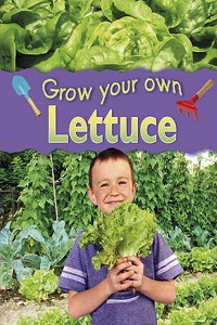 Grow Your Own: Lettuce