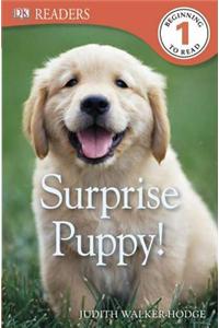 DK Readers L1: Surprise Puppy