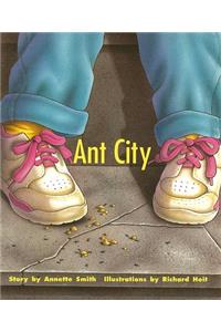 Ant City