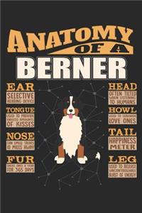 Anatomy Of A Berner