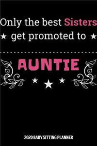 Auntie 2020 Baby Sitting Planner