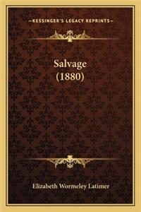 Salvage (1880)