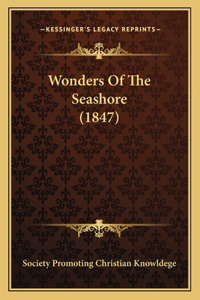 Wonders Of The Seashore (1847)