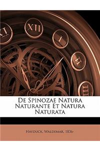 de Spinozae Natura Naturante Et Natura Naturata