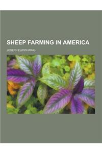 Sheep Farming in America