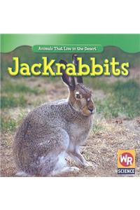 Jackrabbits