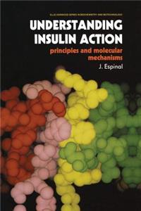 Understanding Insulin Action