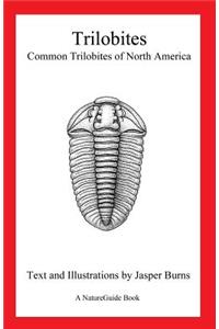 Trilobites
