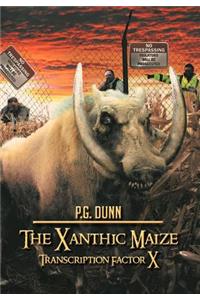Xanthic Maize