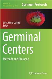 Germinal Centers