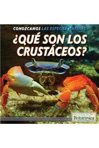 ¿Qué Son Los Crustáceos? (What Are Crustaceans?)