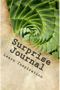Surprise Journal