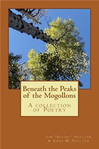 Beneath the Peaks of the Mogollons