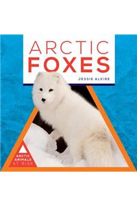 Arctic Foxes