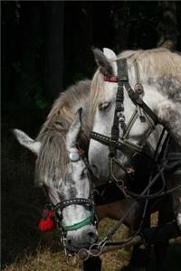 Team of White Horses Portrait Journal