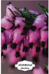 Notebook Journal Dot-grid, Graph, Lined, Blank No Lined - Purple Flowers: Small Pocket Notebook Journal Diary