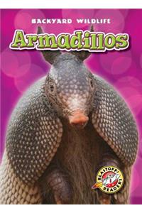 Armadillos