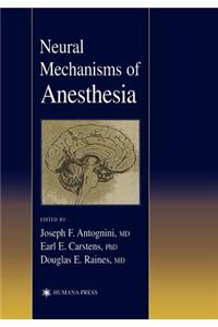 Neural Mechanisms of Anesthesia