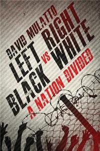 Left vs. Right, Black vs. White: A Nation Divided