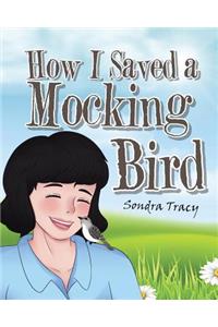 How I Saved a Mockingbird