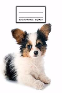 Composition Notebook - Graph Paper