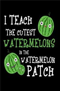 I Teach The Cutest Watermelons In The Watermelon Patch