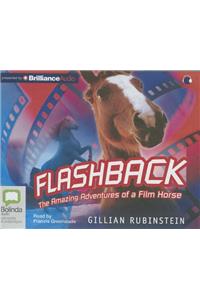 Flashback: The Amazing Adventures of a Film Horse