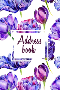 Address Book