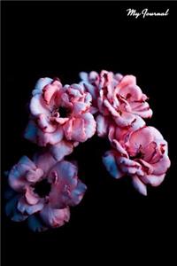 Delightful 2019 Journal with One Page for Each Day - Black