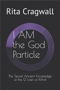 I AM the God Particle