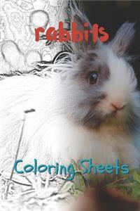 Rabbit Coloring Sheets