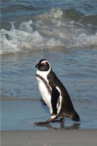 African Penguin on the Beach Journal